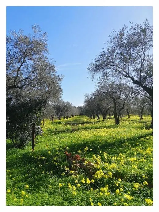Villa La Rucchetta Alghero