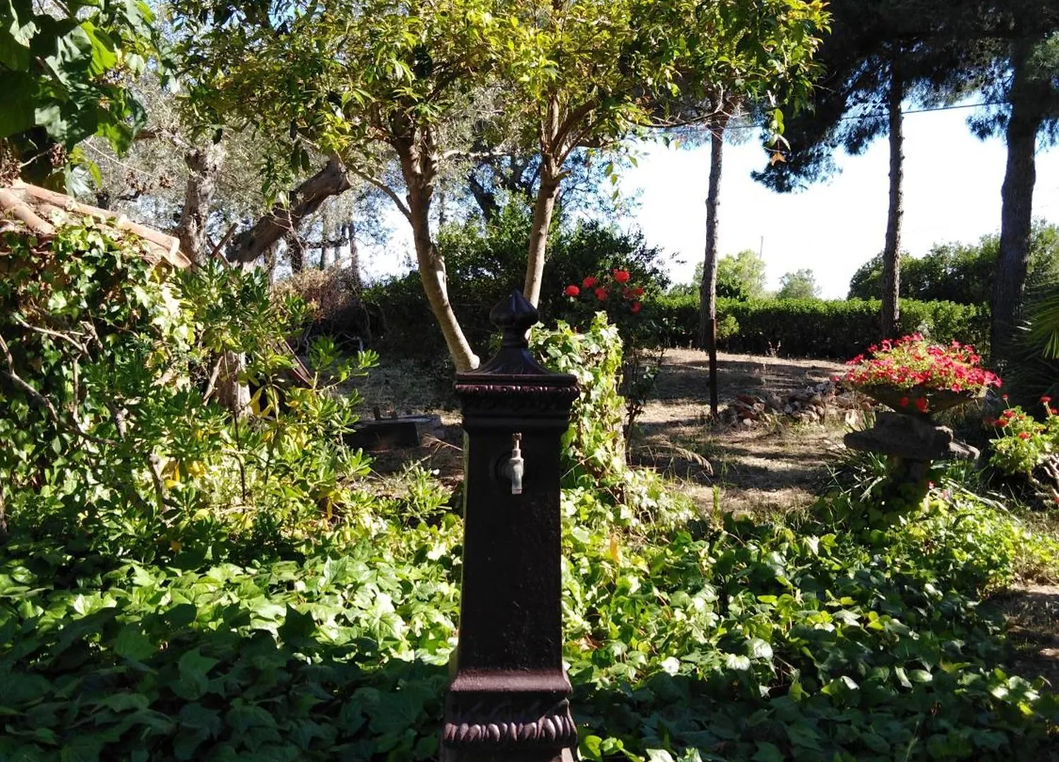 Villa La Rucchetta Alghero