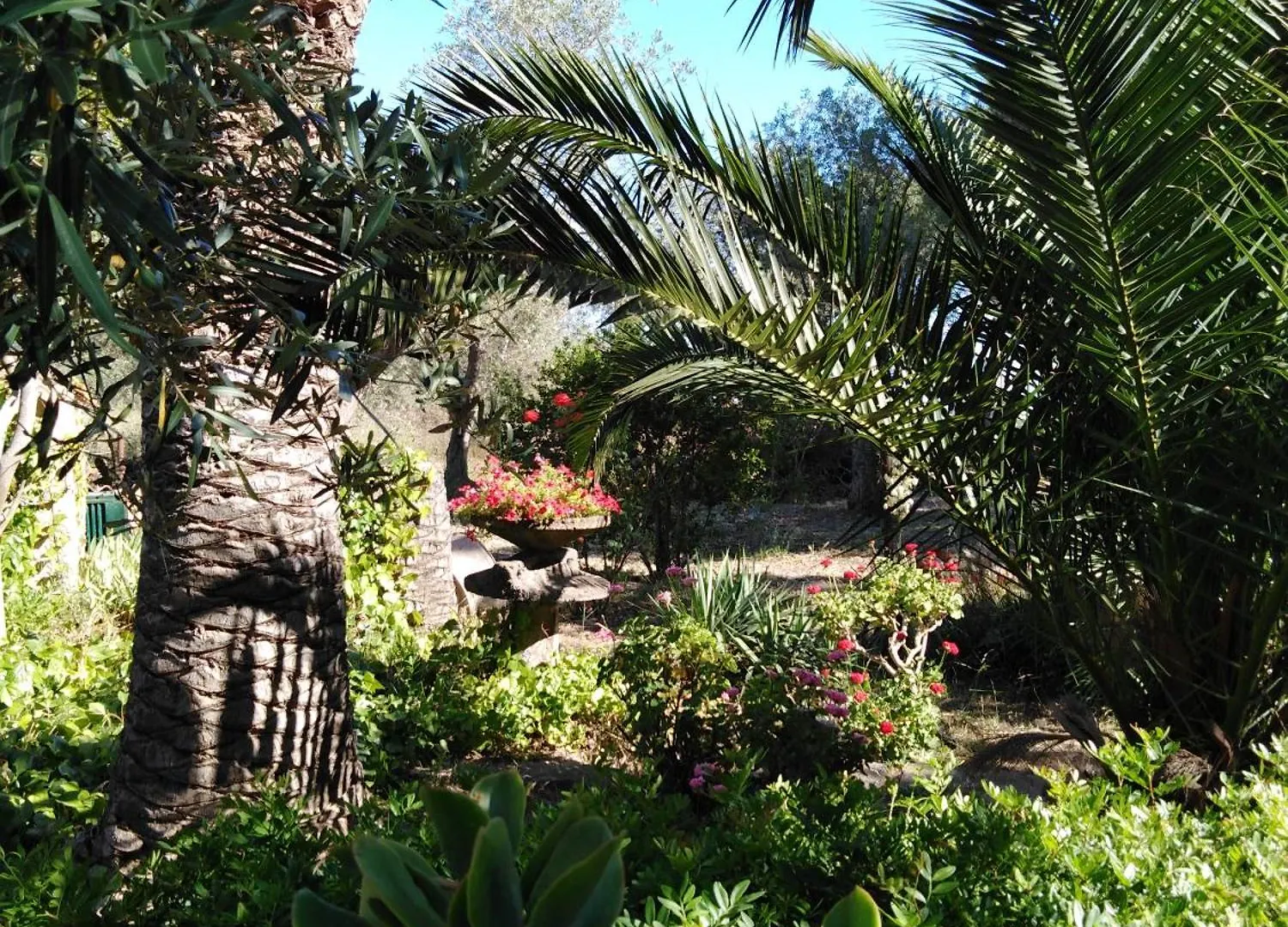 Villa La Rucchetta Alghero Italy