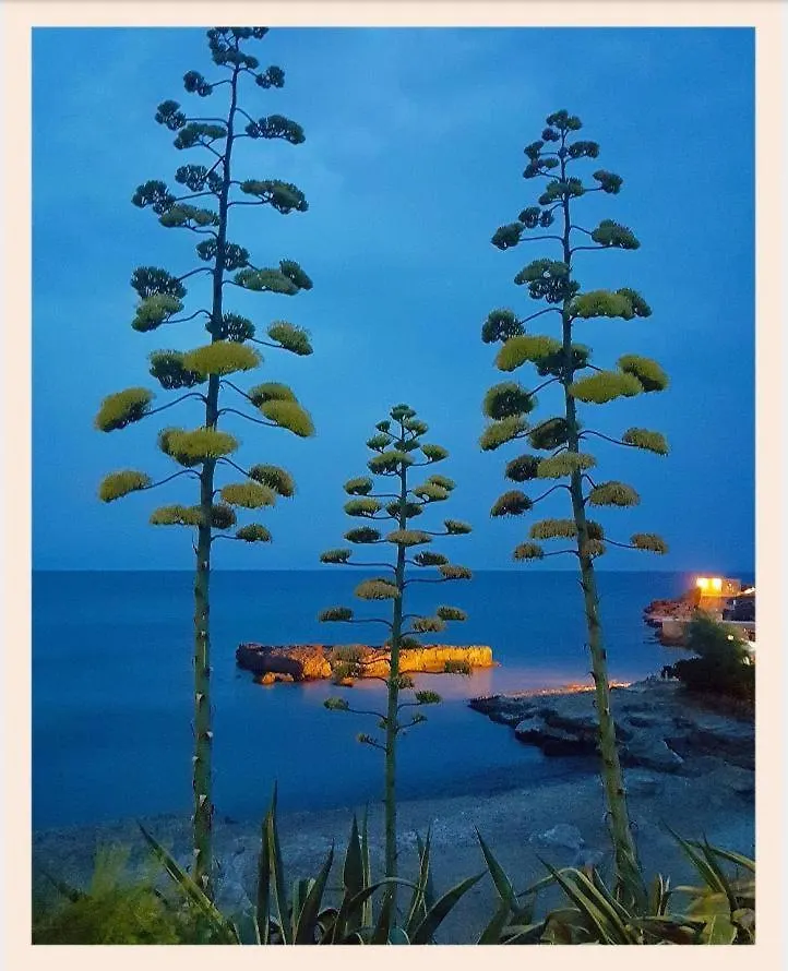Villa La Rucchetta Alghero