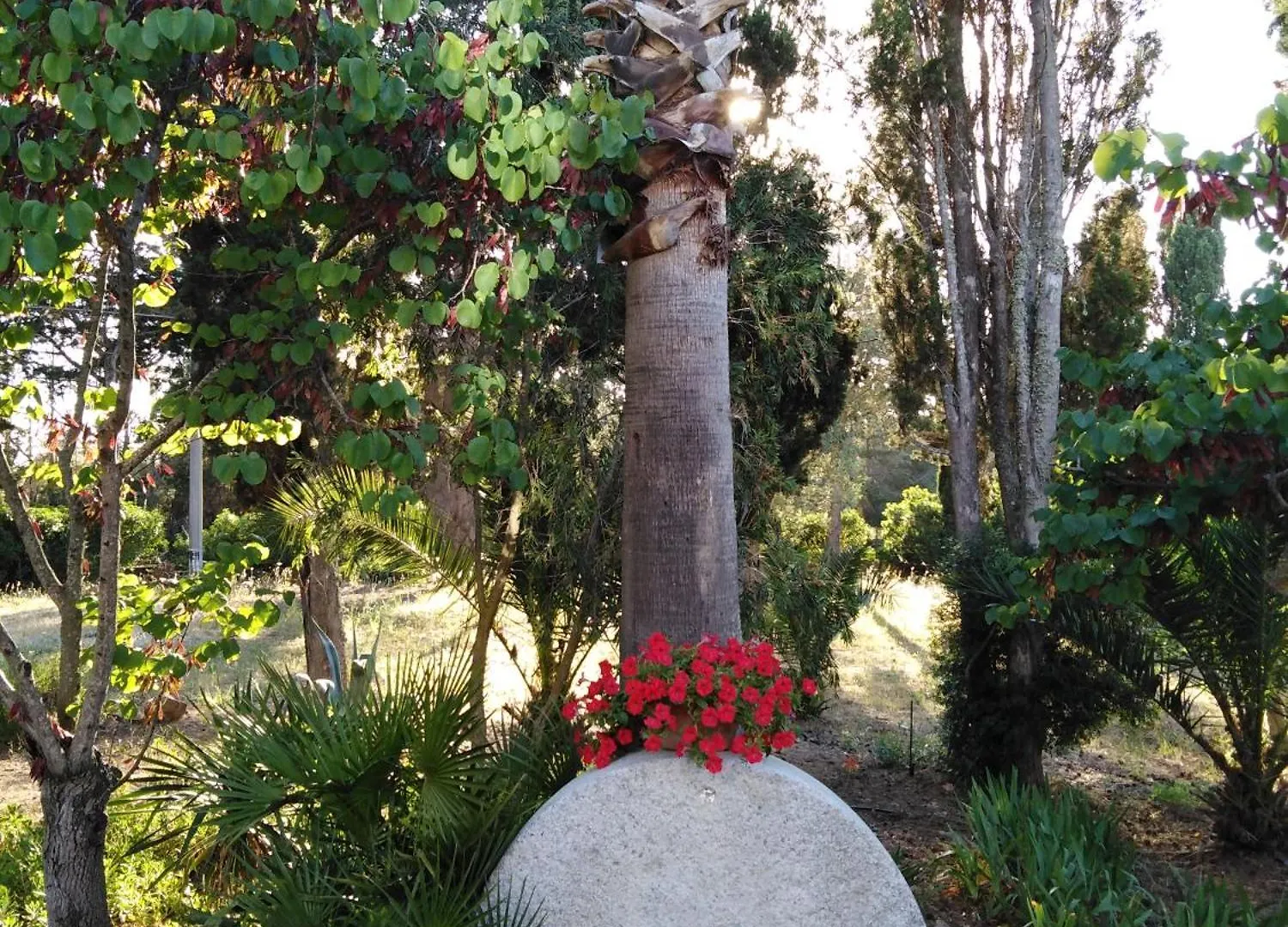 Villa La Rucchetta Alghero Italien
